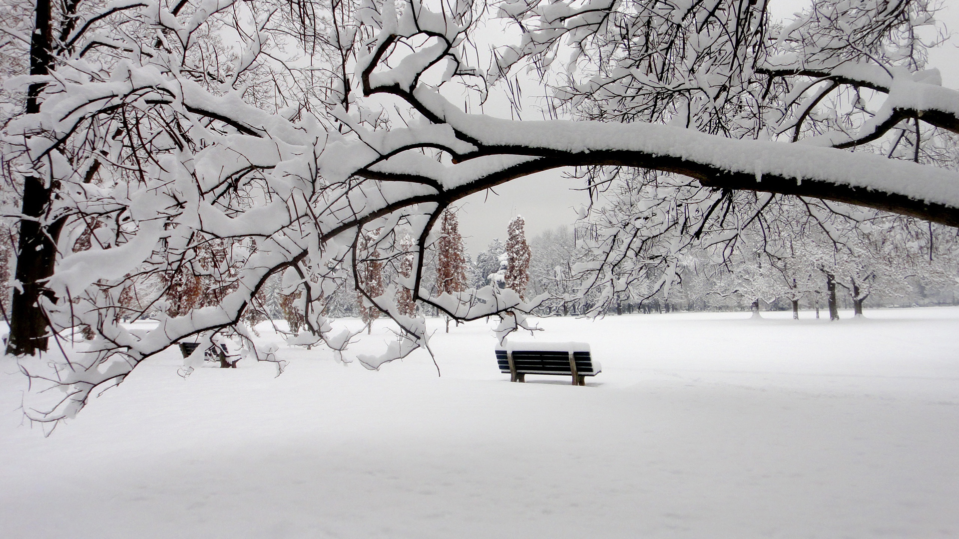 ['冬天 雪景 公园 长椅 风景 桌面壁纸']