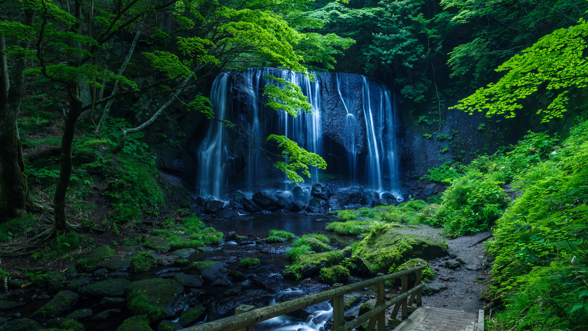 ['绿色森林瀑布溪流岩石青苔自然风景2K高清壁纸']