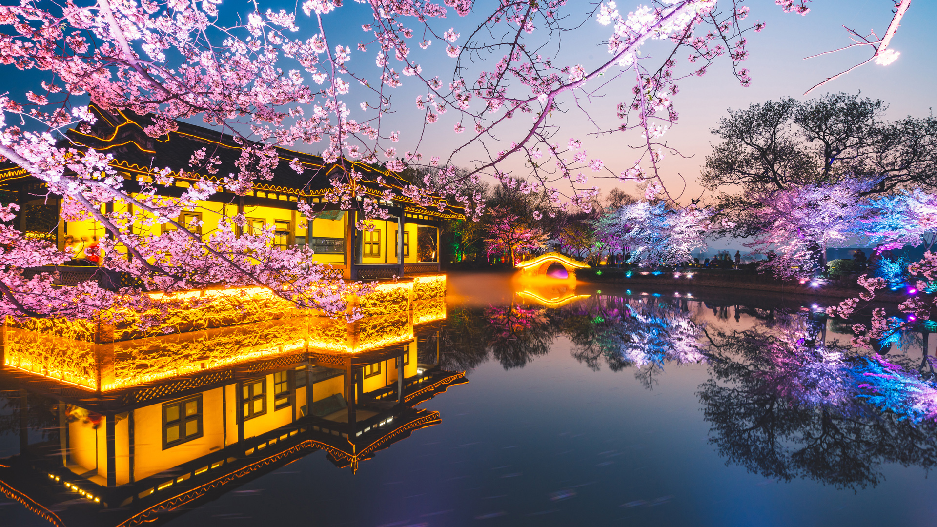 ['无锡鼋头渚 樱花 春日美景 高清风景壁纸 夜樱灯光秀 太湖游船']