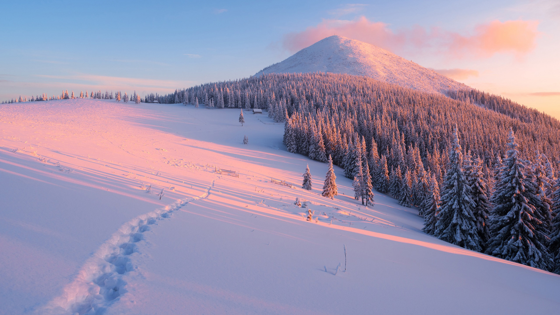 ['严寒冬天 雪山山峰 雪景风景 森林丘陵 云杉 冬季壁纸 桌面背景']