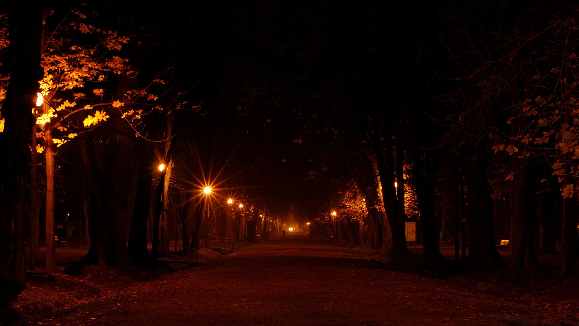 ['夜景小巷 路灯 树 浪漫道路风景桌面壁纸']