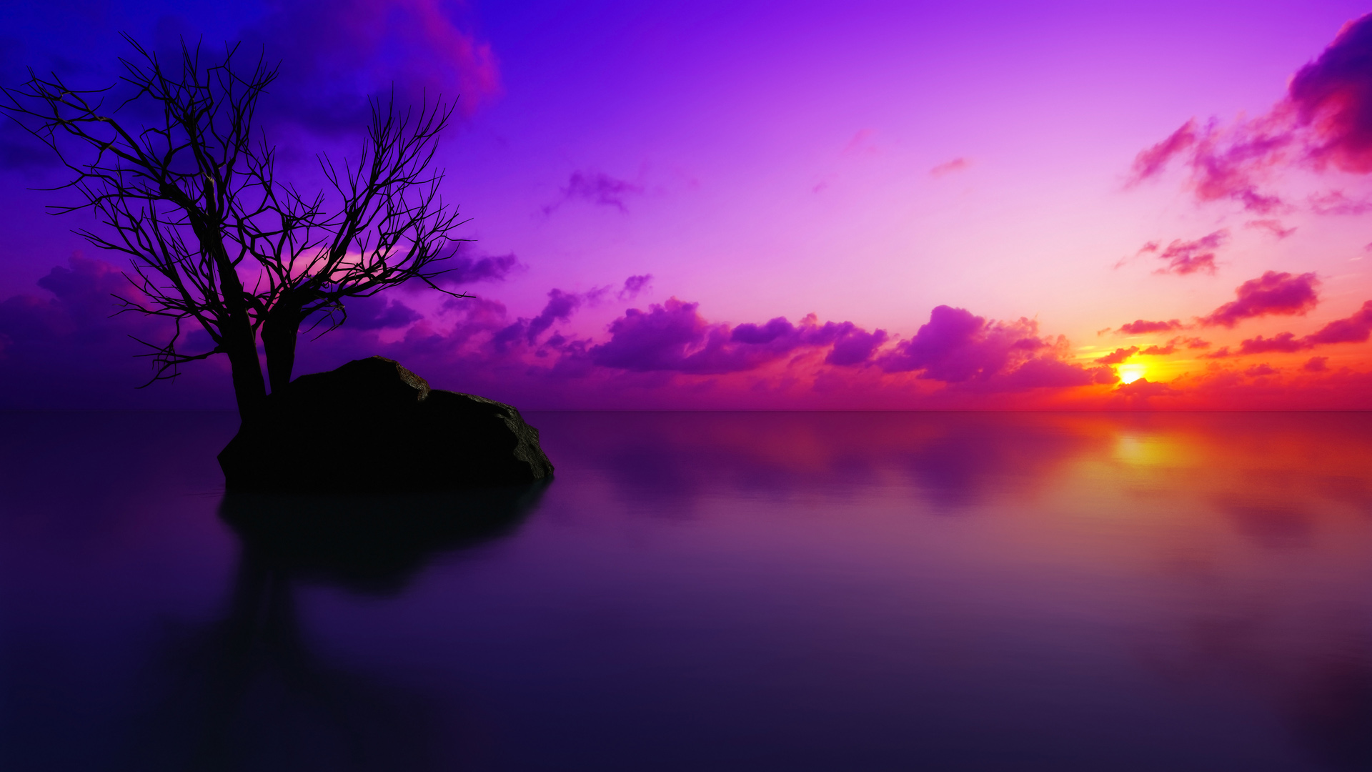 ['海上日落剪影 高清壁纸 夕阳海景 自然风光 石头树影']