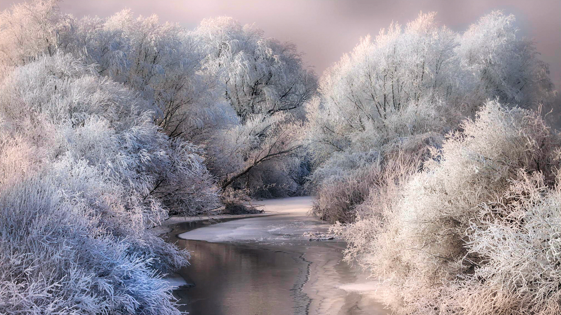['冬季雪景 冰霜 树木 河流 自然风景 高清壁纸']