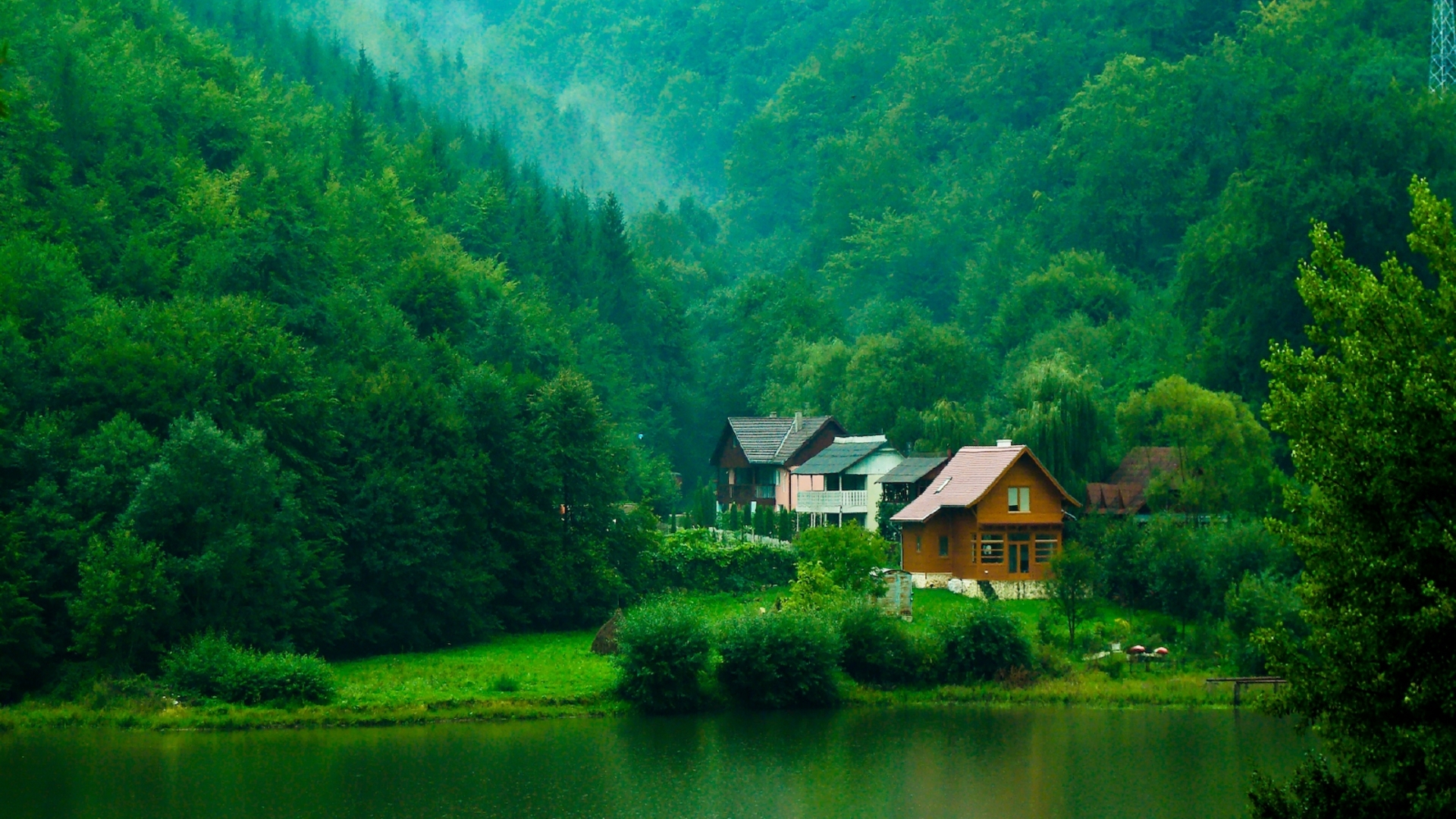 ['绿色森林 树木 灌木 房屋 溪流 自然风景桌面壁纸']