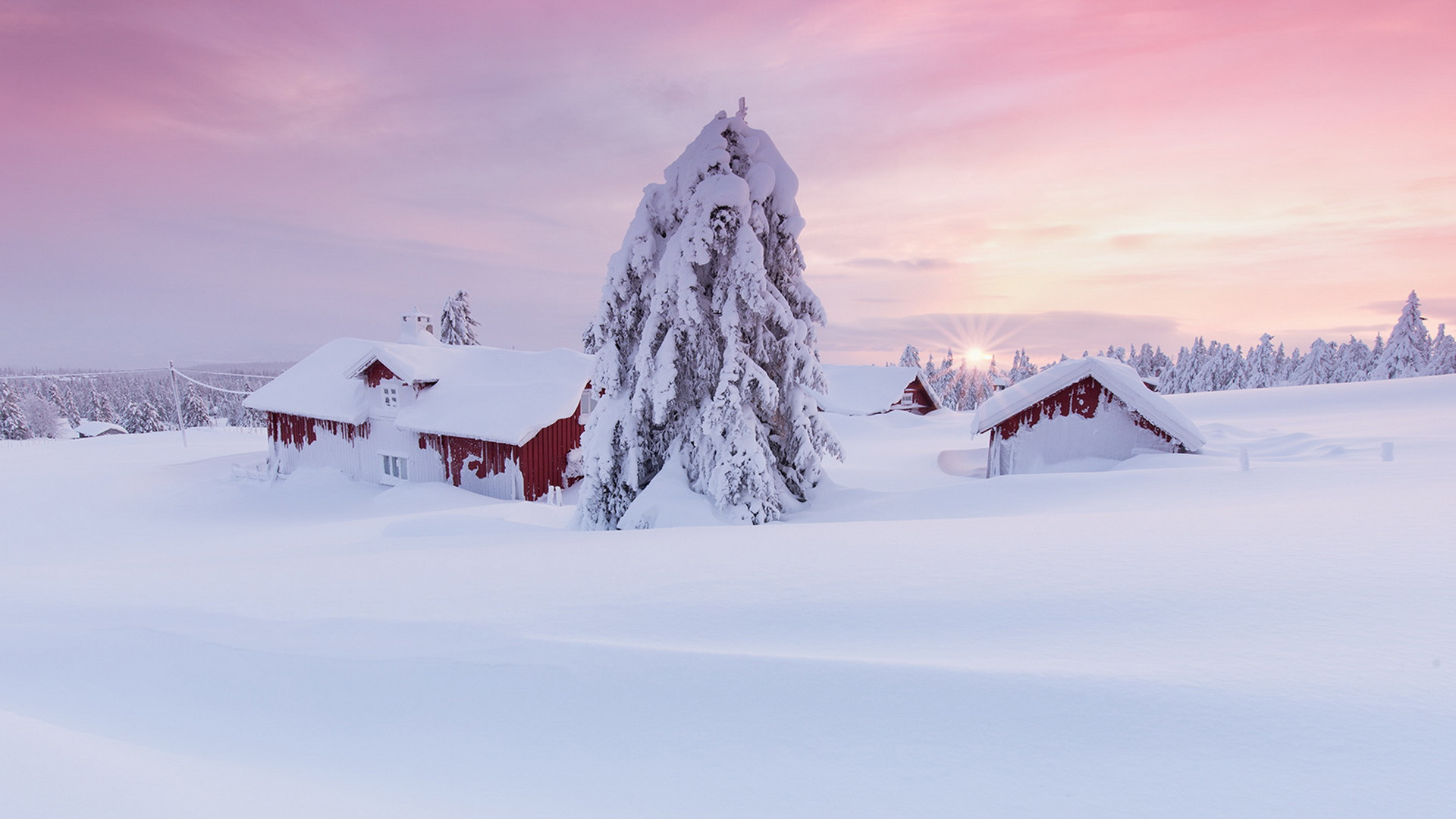 ['早晨 雪景 树屋 冬季高清 桌面壁纸']