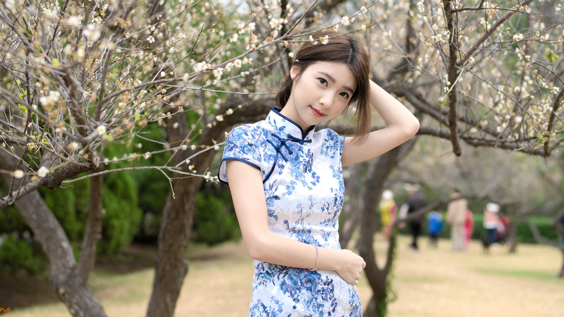 ['刘子涵 旗袍 美女桌面壁纸']