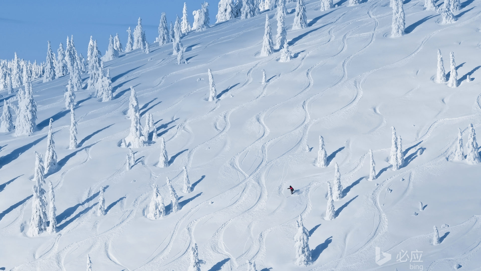 ['怀特菲什 雪山风景 唯美自然 桌面壁纸']
