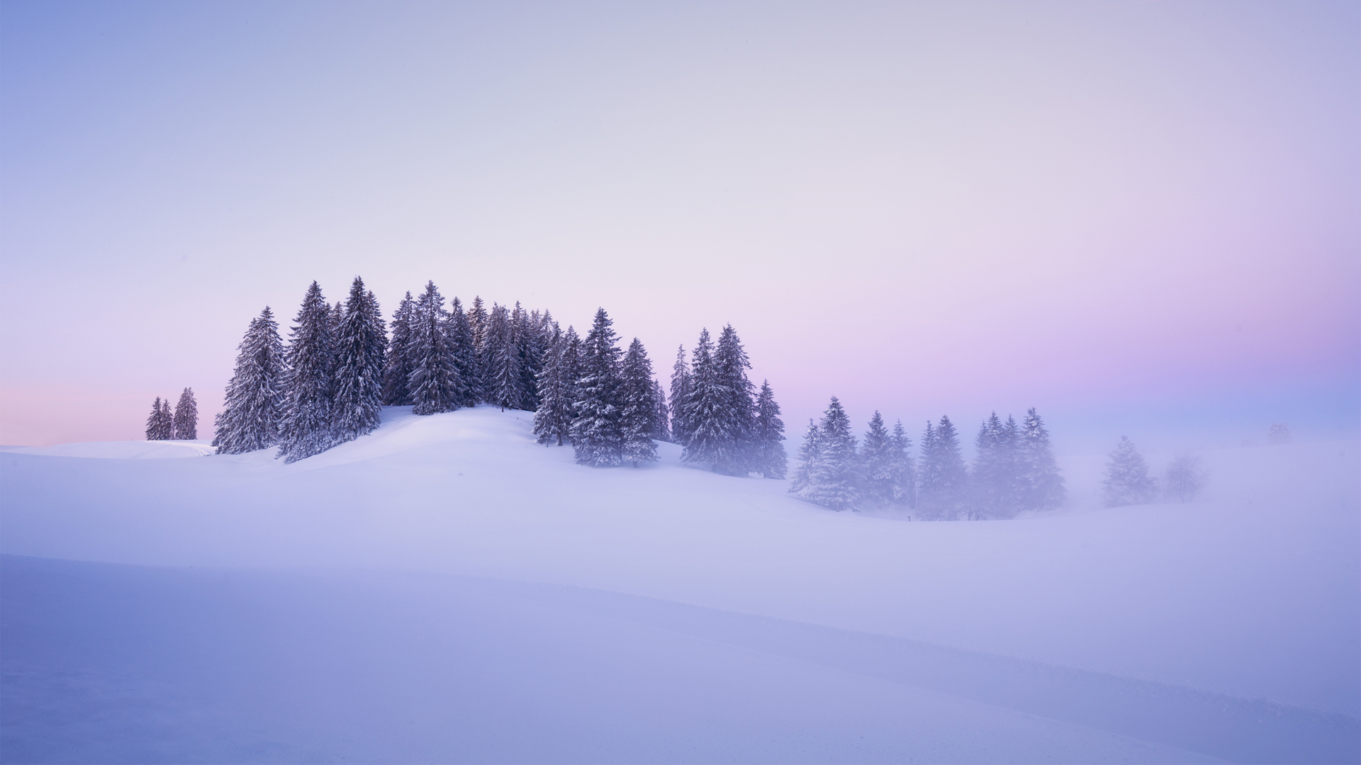 ['瑞士冬季 雪景 阿尔卑斯山 自然风光 树木 冬天壁纸']
