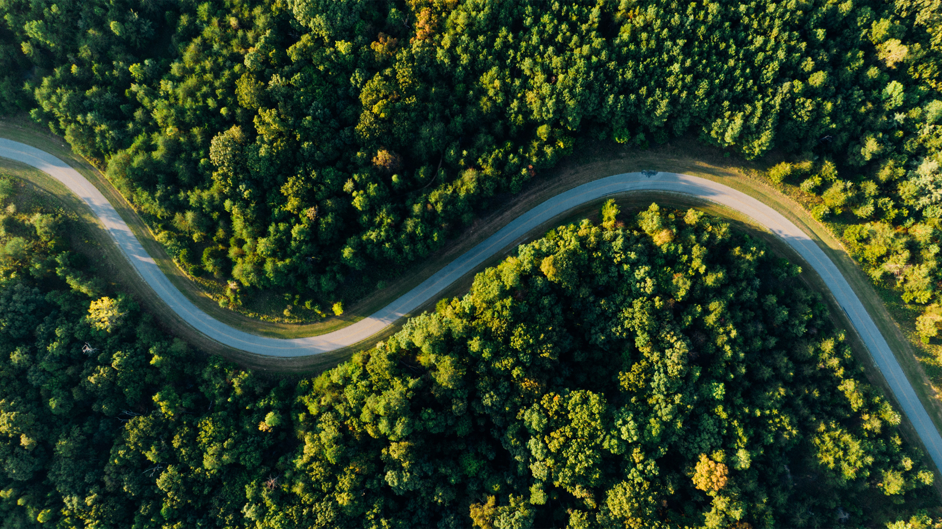 ['高清绿色森林公路航拍壁纸 护眼风景']