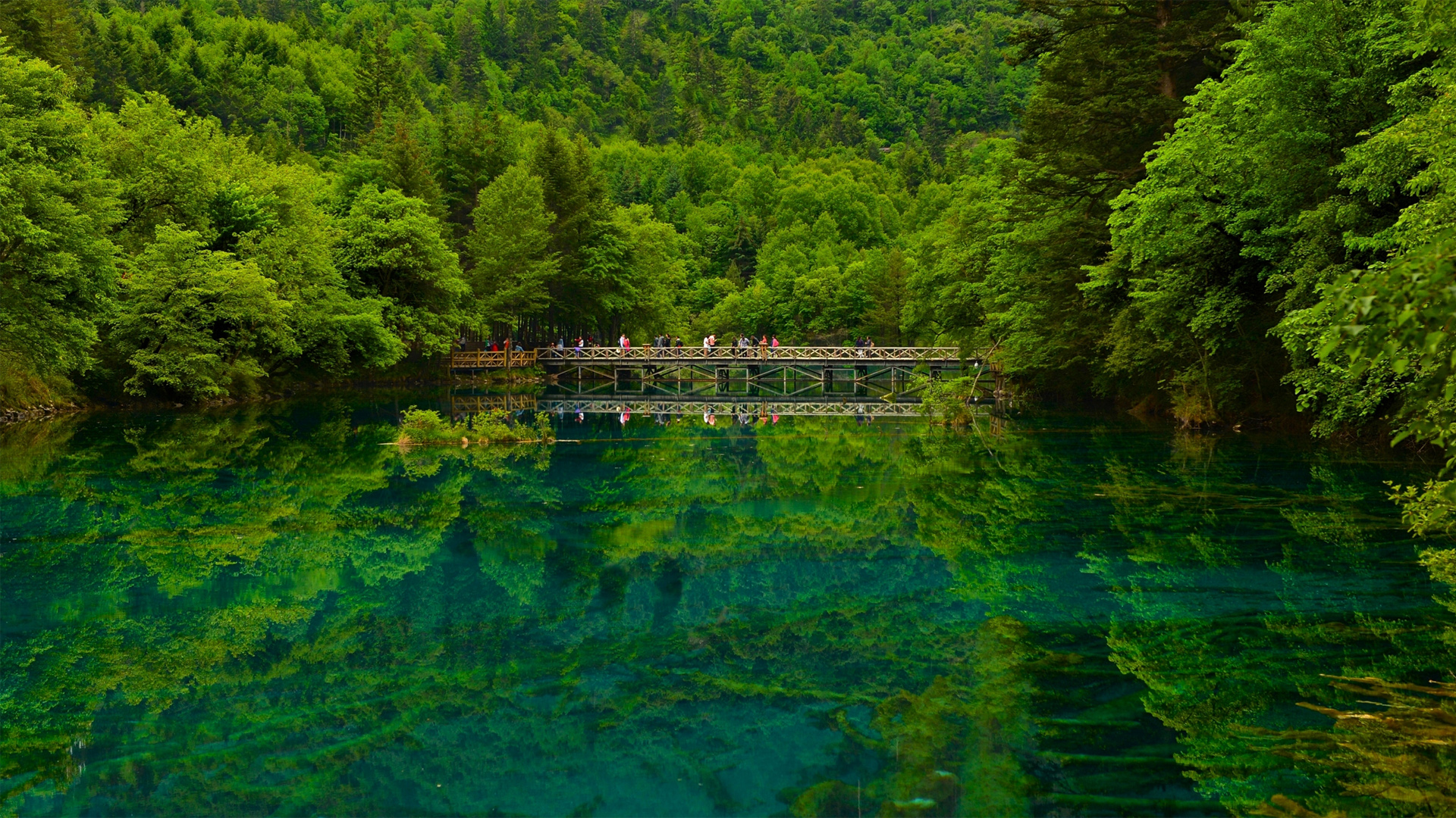 ['四川九寨沟 自然美景 湖泊 彩林 秋季壁纸']