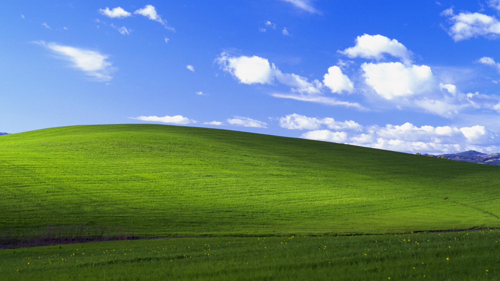 ['Windows XP 经典壁纸 蓝天白云绿草地 桌面高清 摄影师故事']
