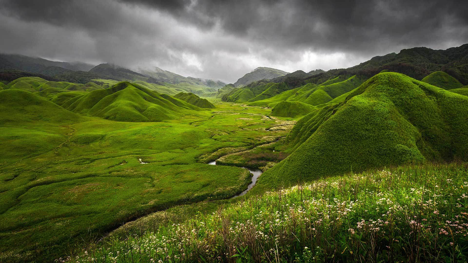 ['自然风景 山丘 水渠 绿色植物 桌面壁纸']