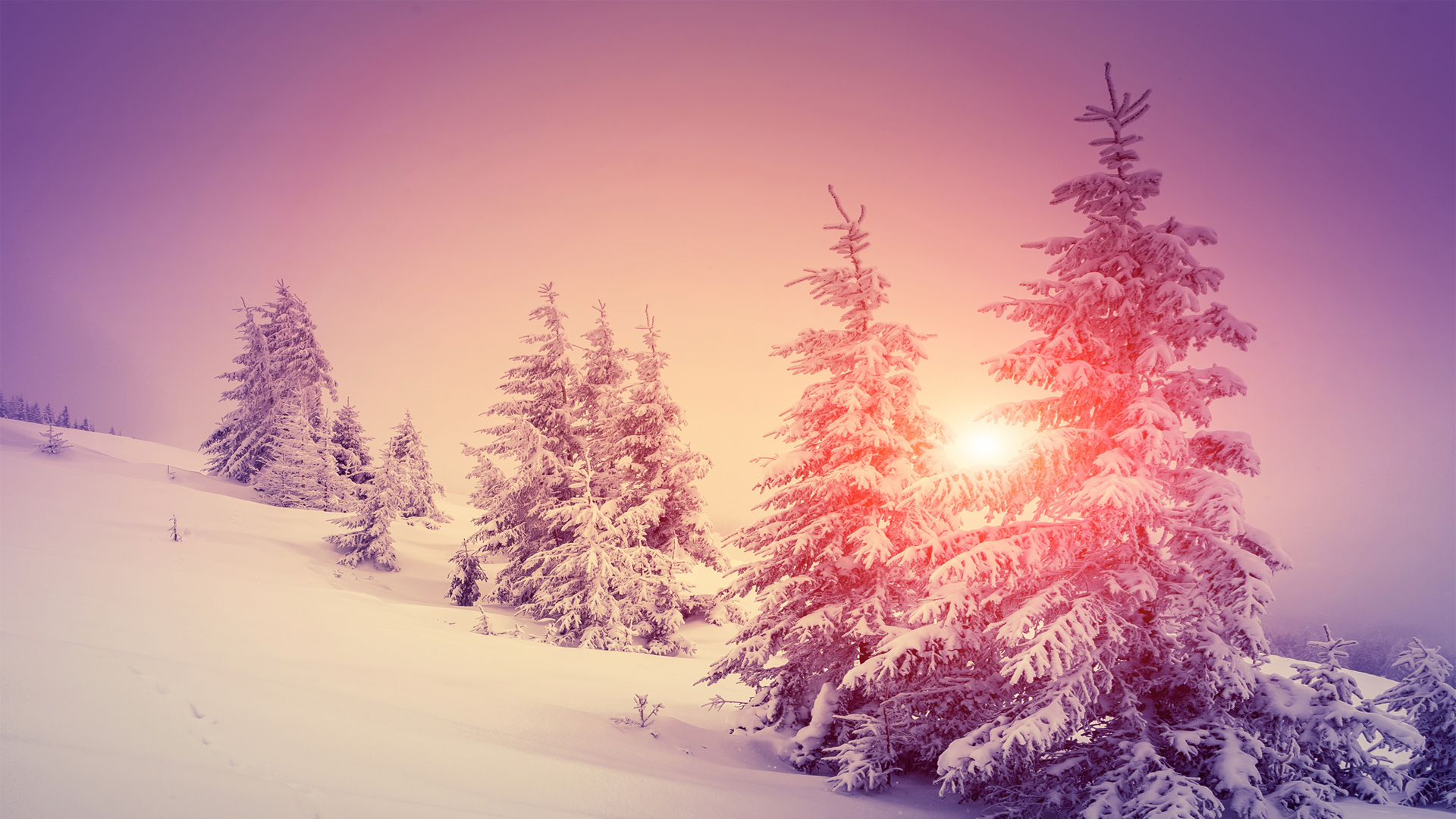 ['冬季雪景 阳光森林 自然风光高清壁纸']