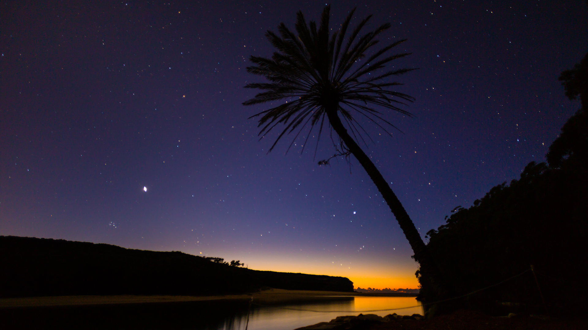['Wattamolla海滩夜景高清壁纸 树 星空风景']