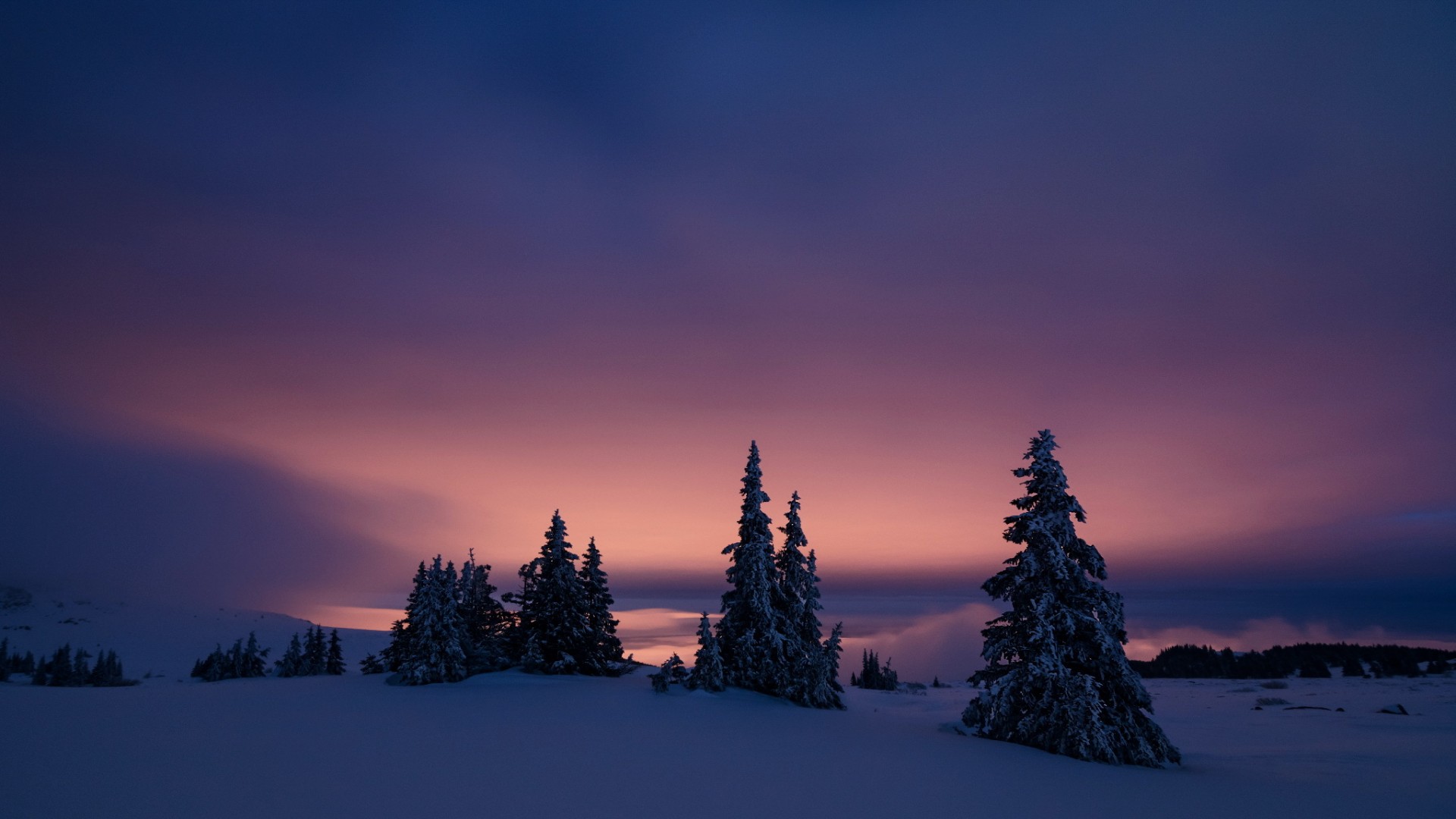 ['冬天夜景雪景自然风光桌面壁纸']