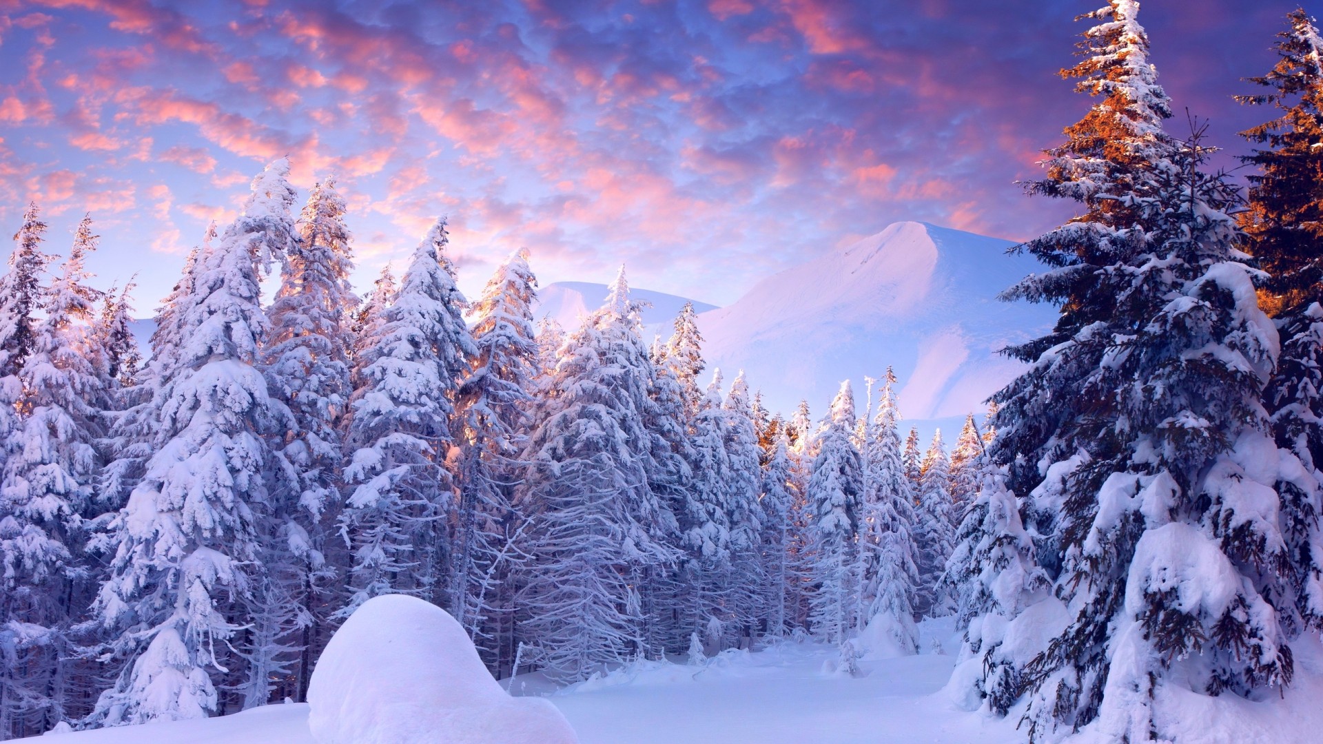['高清冬季雪景壁纸 4K自然风景中白雪覆盖的树木与山脉']