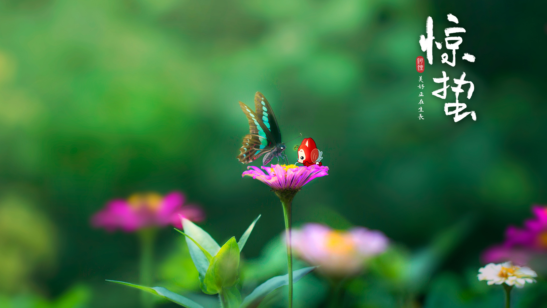 ['阿狸 惊蛰 二十四节气 蝴蝶 花朵 护眼壁纸']