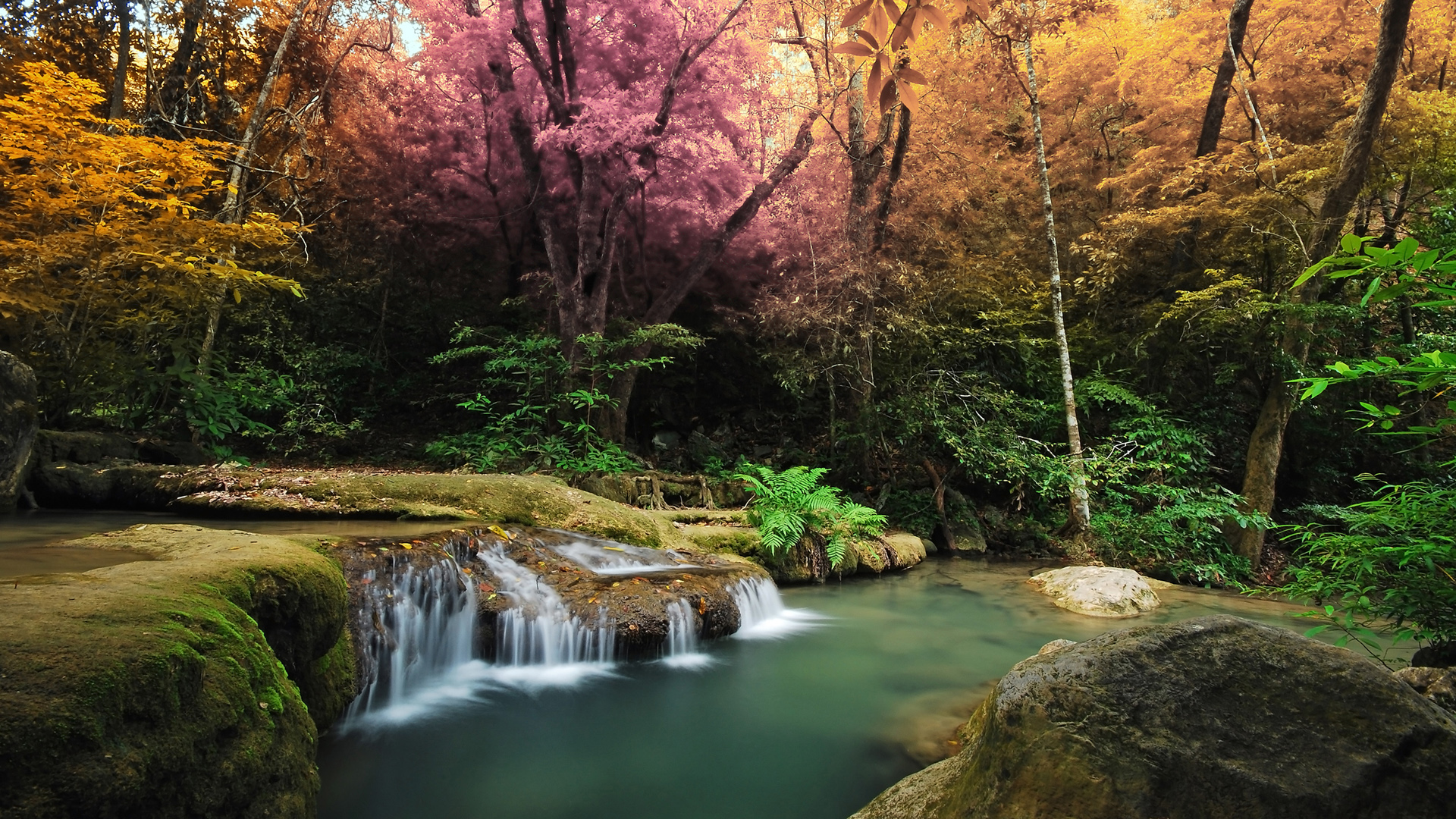 ['森林瀑布自然风景高清桌面壁纸']