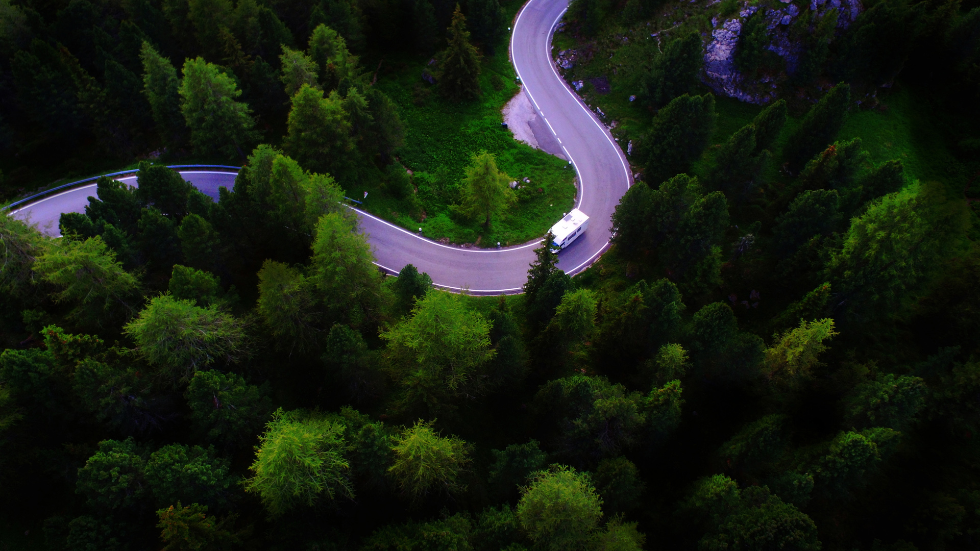 ['阿尔卑斯山 公路 森林 树木 风景壁纸']
