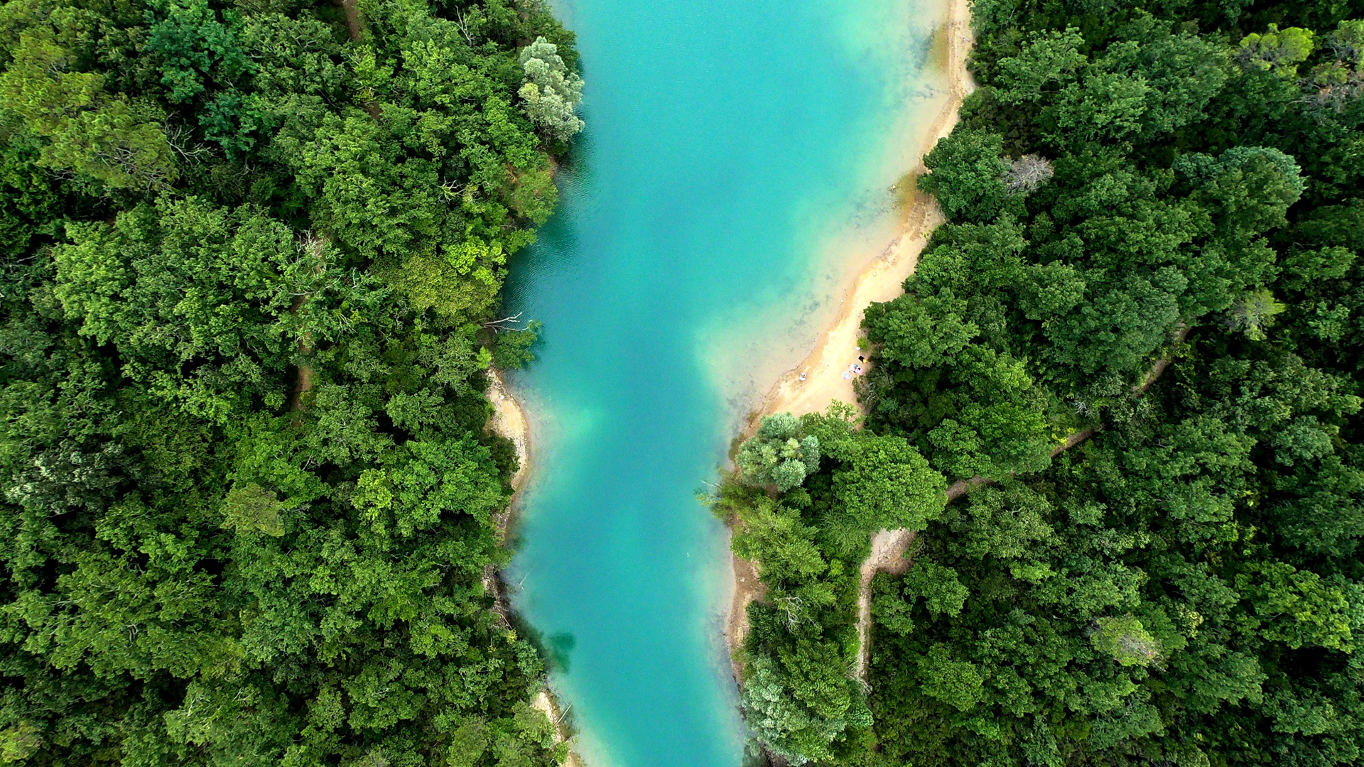 ['绿色森林 河流 大自然风景 俯视视角 高清壁纸']