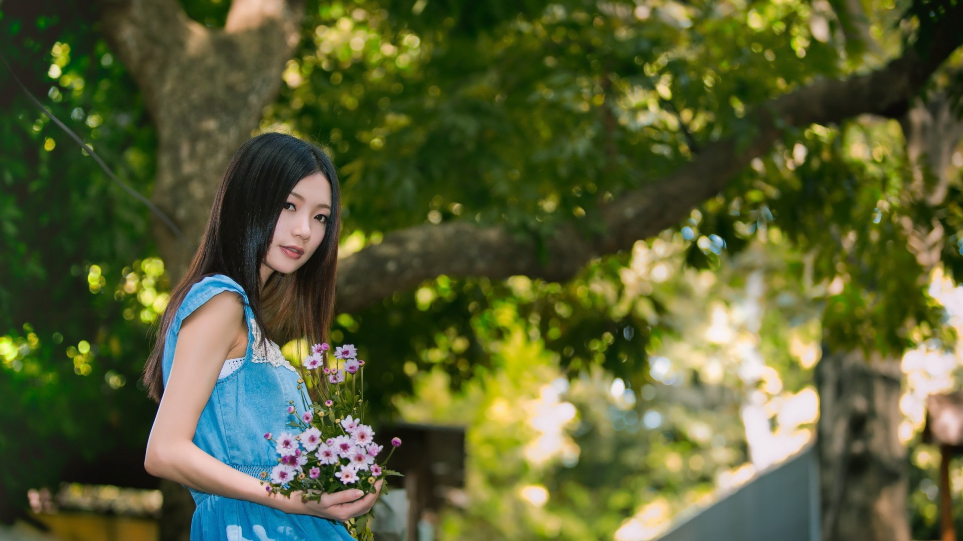 ['清纯女孩 花 蓝色小裙子 小清新 绿树 护眼壁纸']