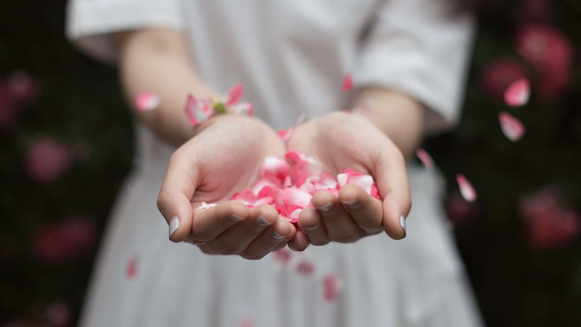 ['女孩 白色裙子 花瓣 唯美 桌面壁纸']