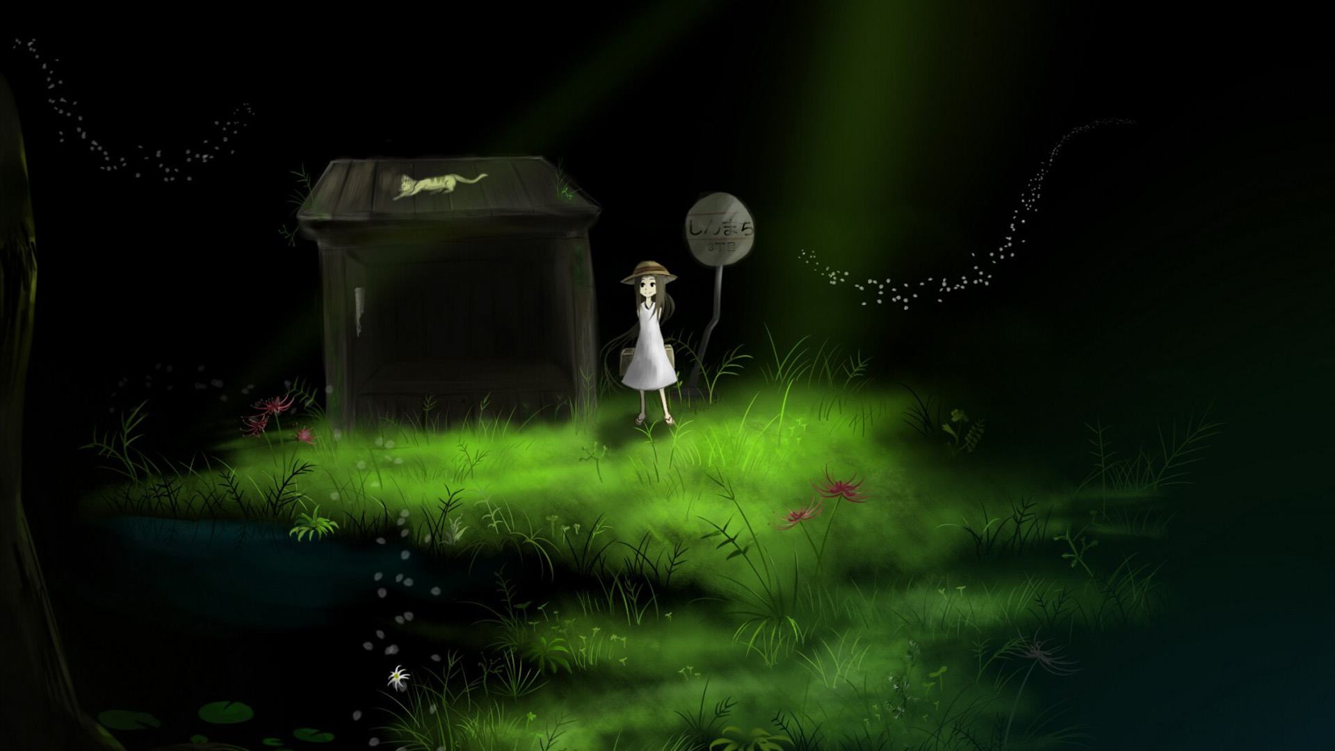 ['女孩与猫 夜晚 治愈系 插画 壁纸']