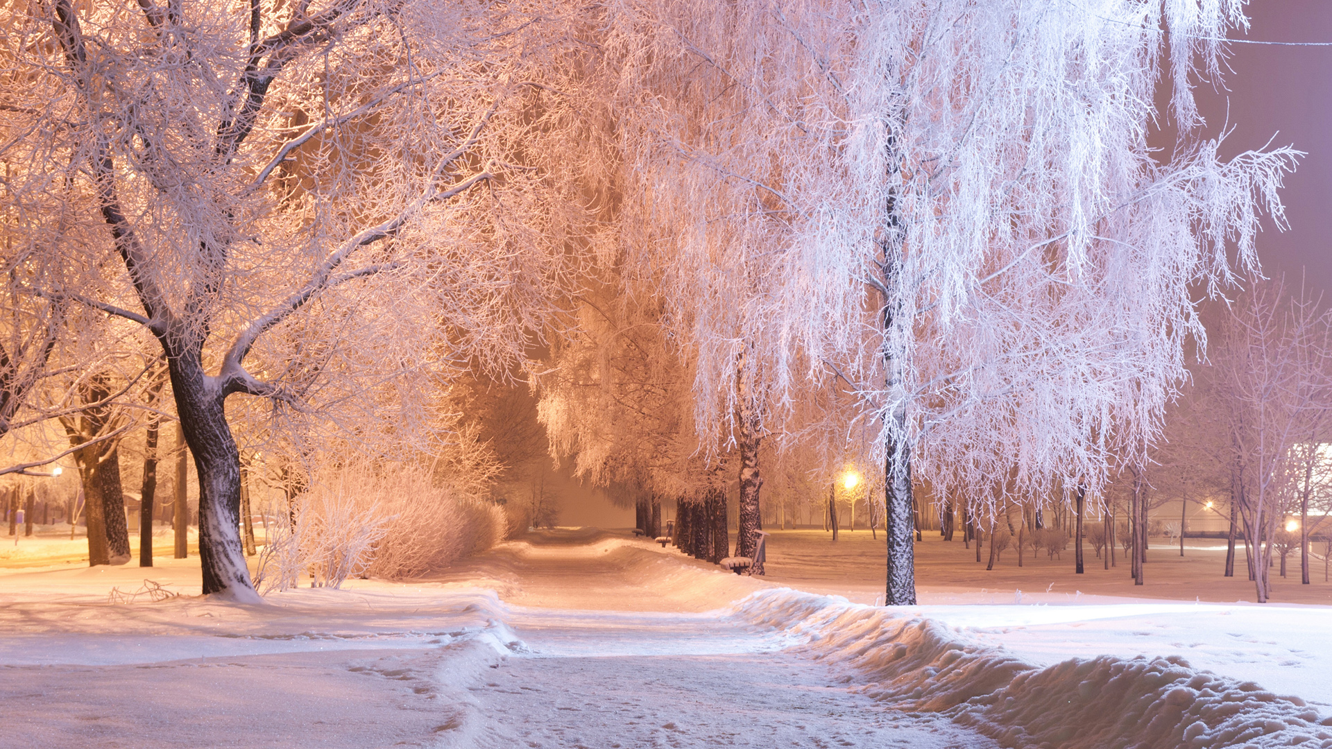 ['冬季雪景 冬夜路灯 公园小巷 树木道路 壁纸']