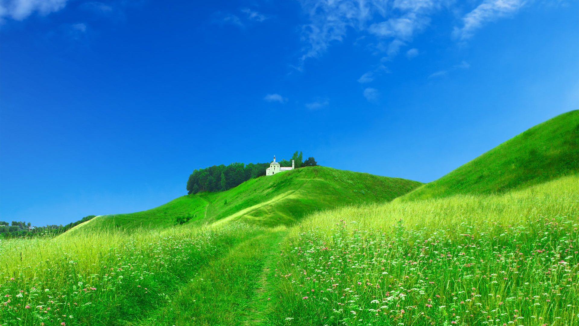 ['草地 鲜花 天空 教堂 风景电脑壁纸']