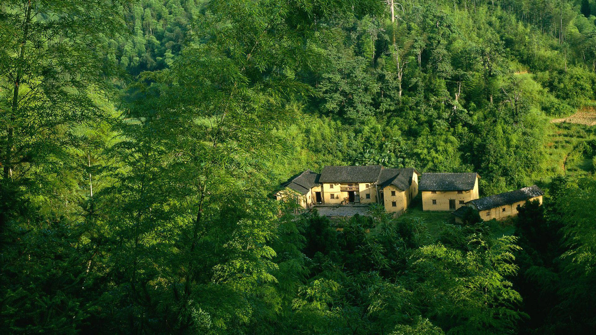 ['竹林小屋 风景 高清桌面壁纸']