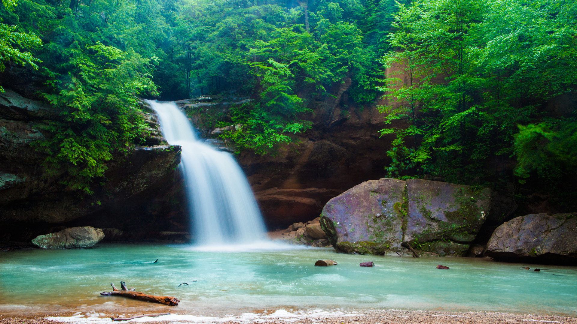 ['绿色森林 河流 瀑布 树林风景 桌面壁纸']