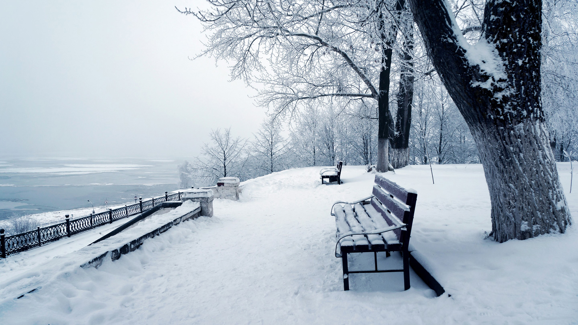 ['冬季雪景 森林板凳 自然风景 桌面壁纸']
