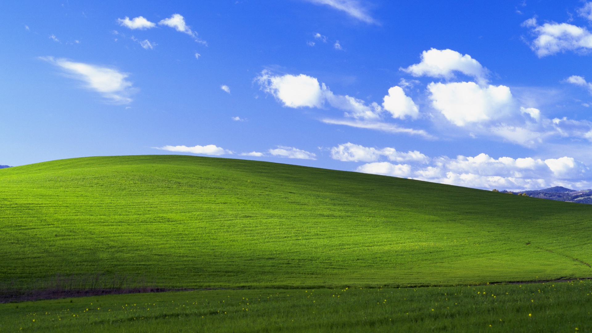 ['蓝天白云 绿草地 Windows XP经典壁纸 2K高清桌面壁纸']