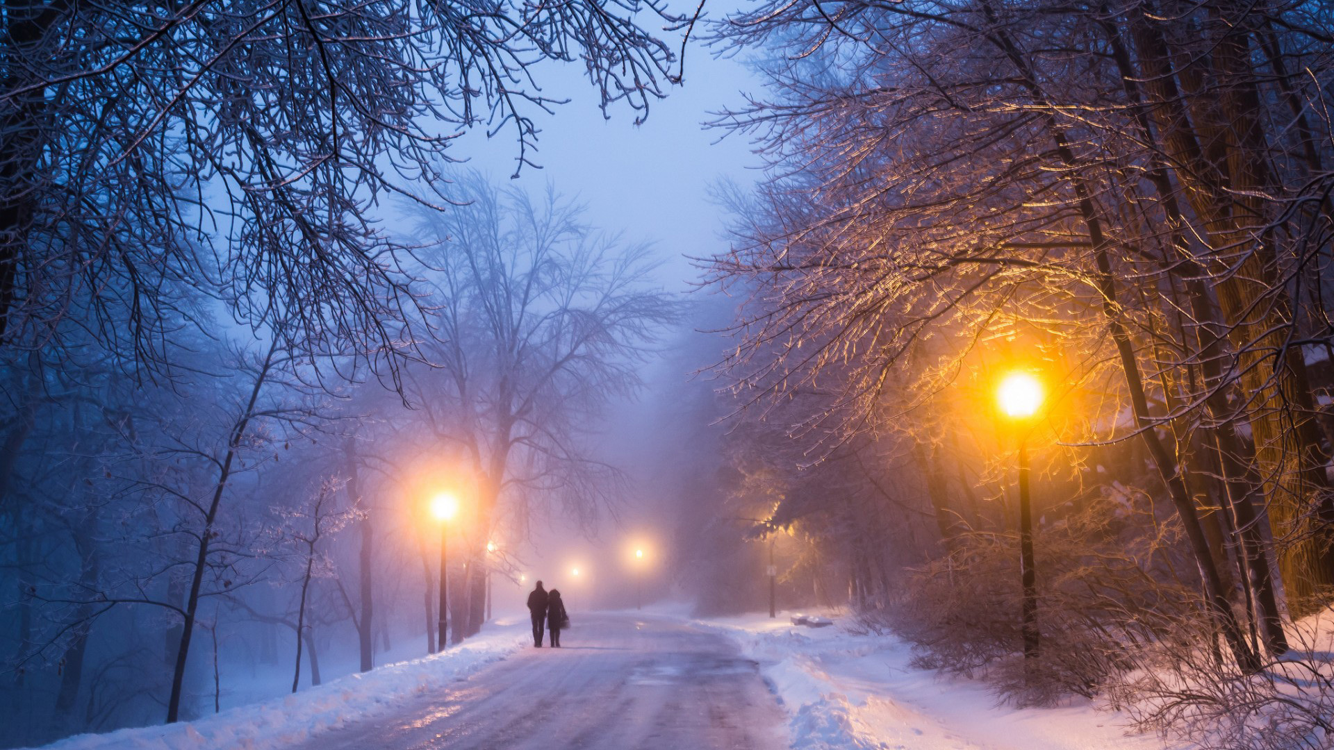 ['冬季 情侣 雪景 浪漫 路灯 夜景 桌面壁纸']