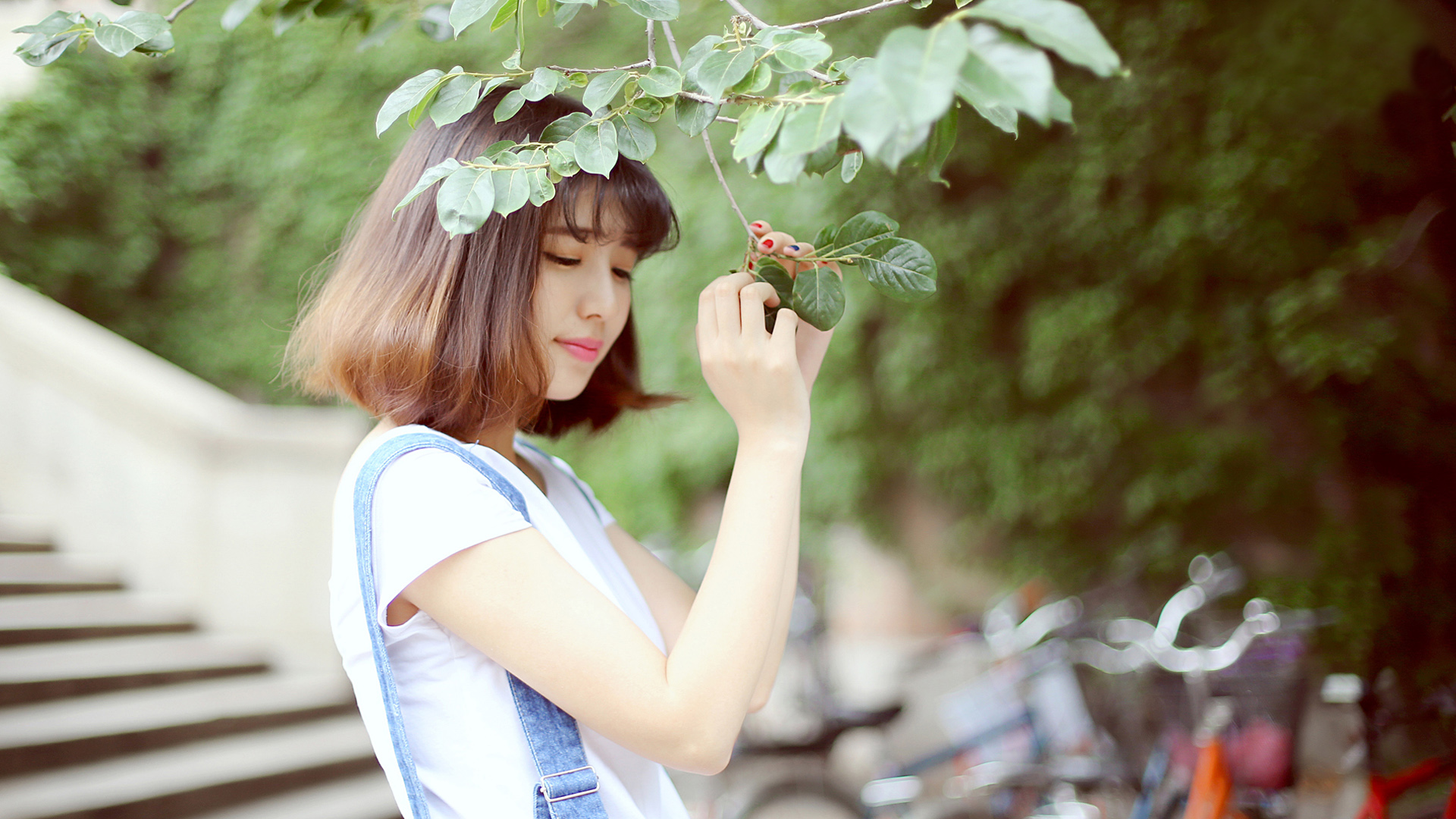 ['清华校花 清纯美女 摄影壁纸 顶尖学府女神风采']