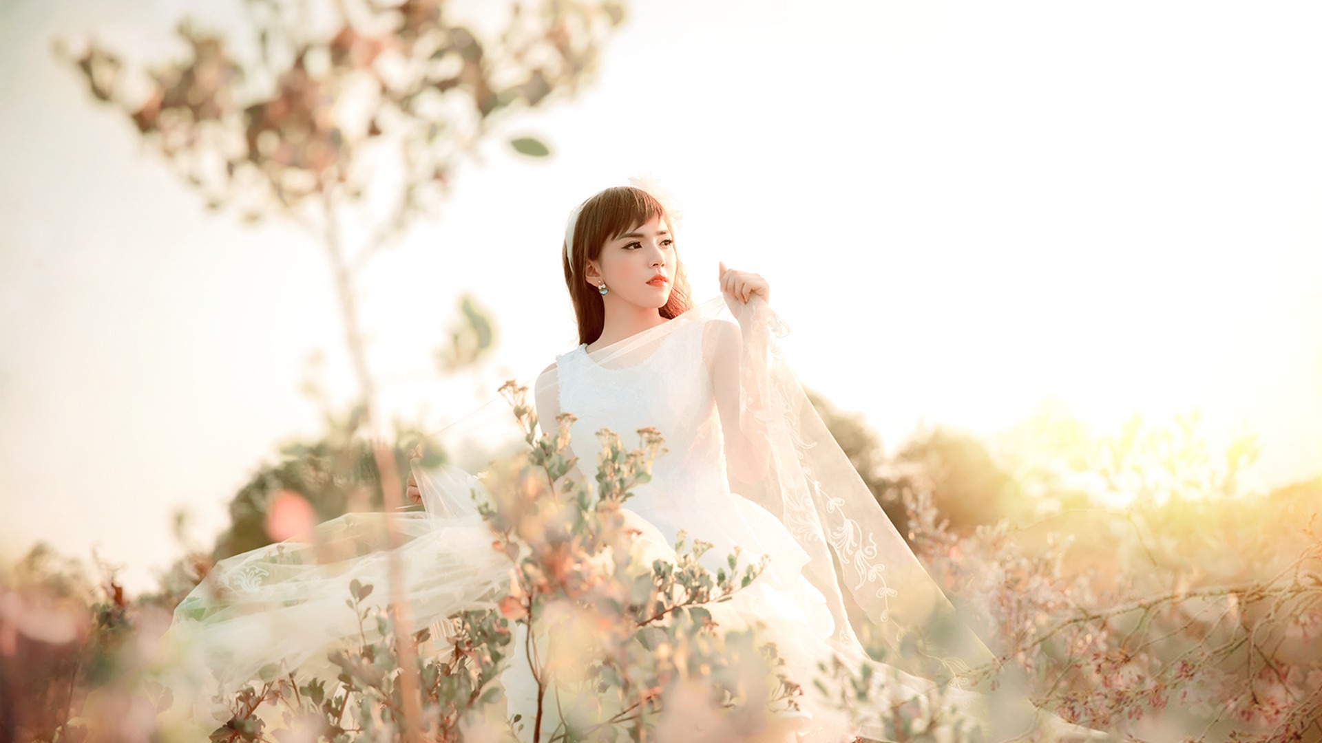 ['白色婚纱 美女 桌面壁纸 高清 唯美']