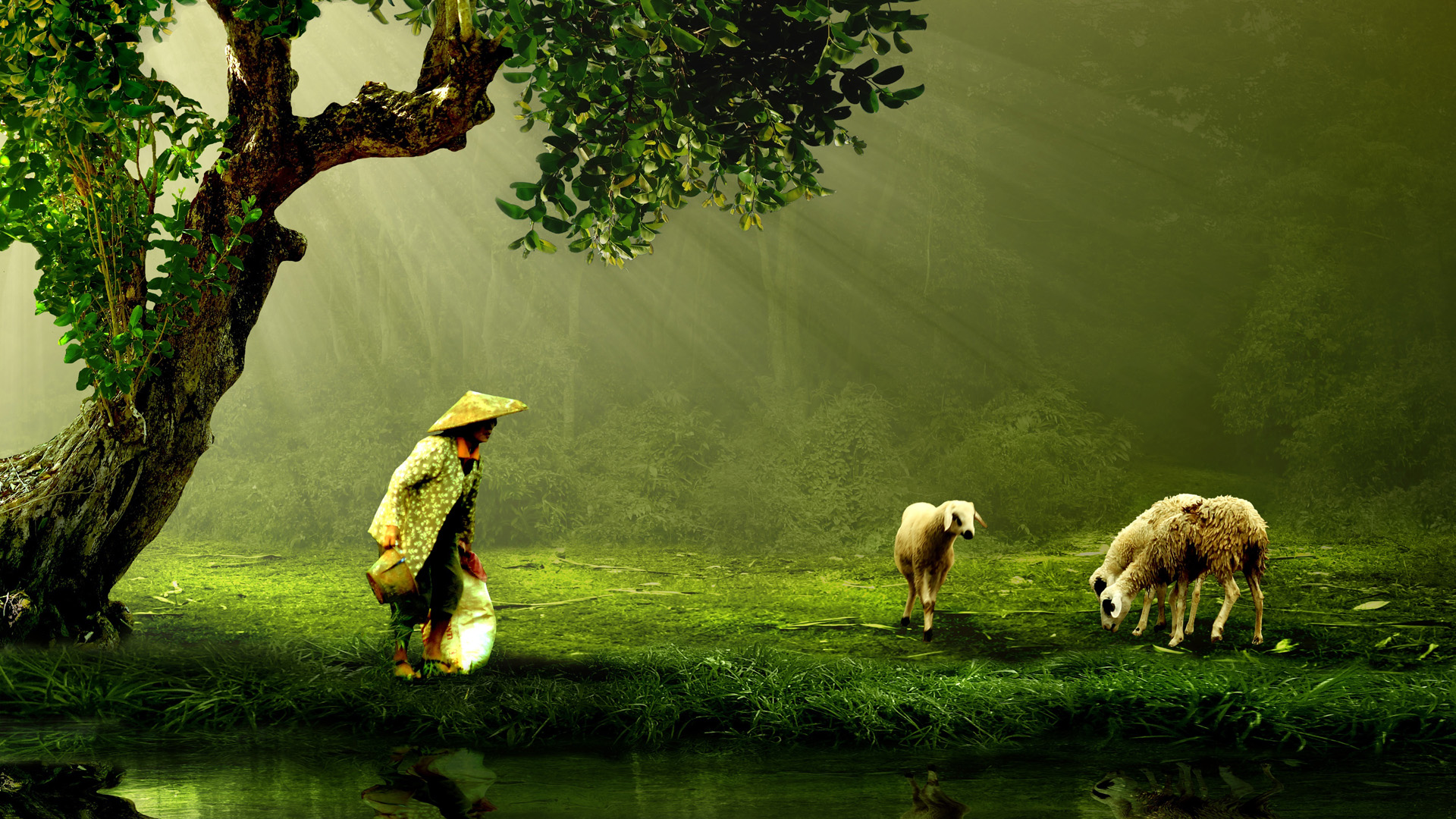 ['羊吃草 树 自然风景 高清壁纸']