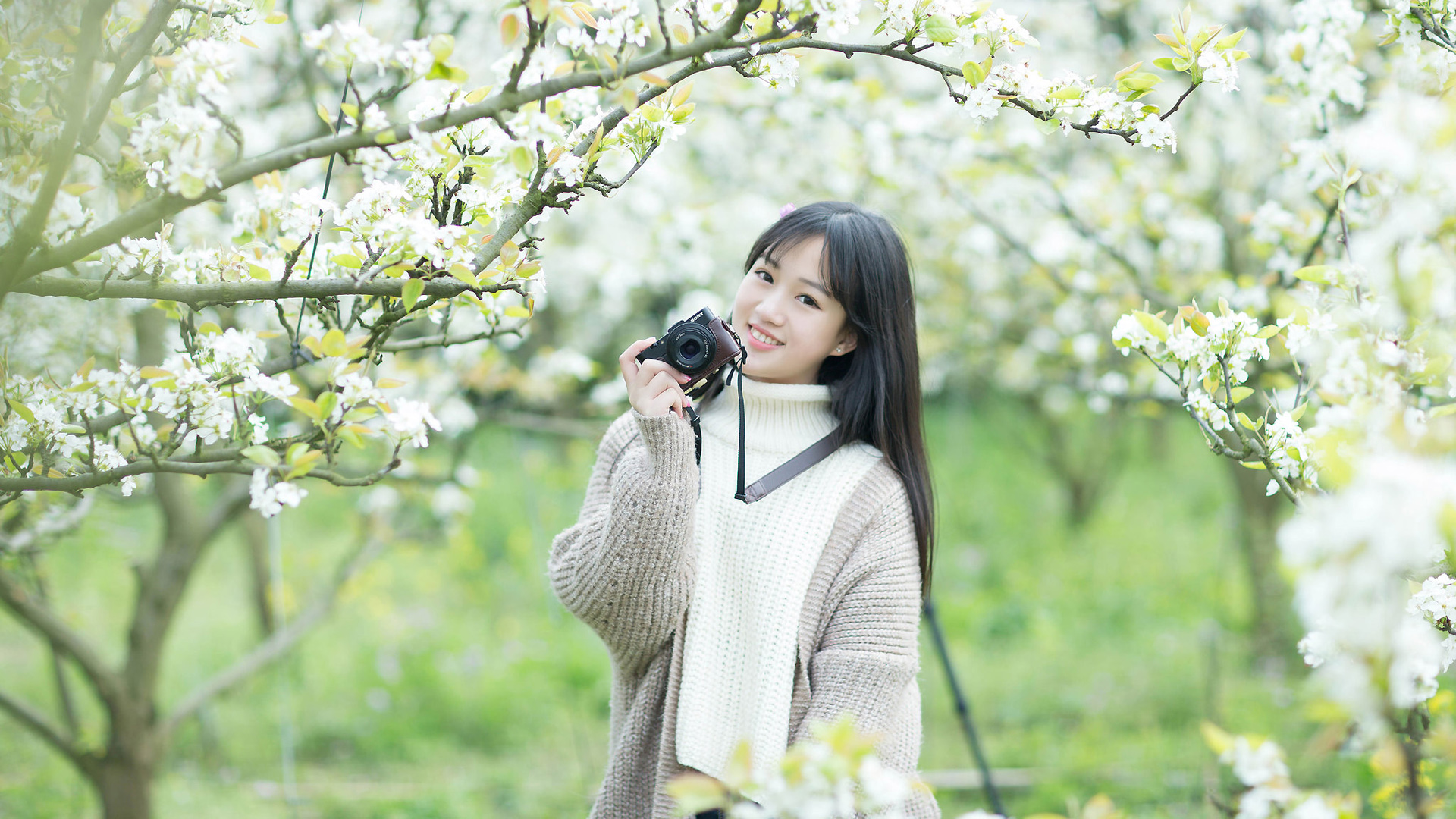 ['花开花落 甜美微笑 二次元少女 清纯 长发 桌面壁纸']