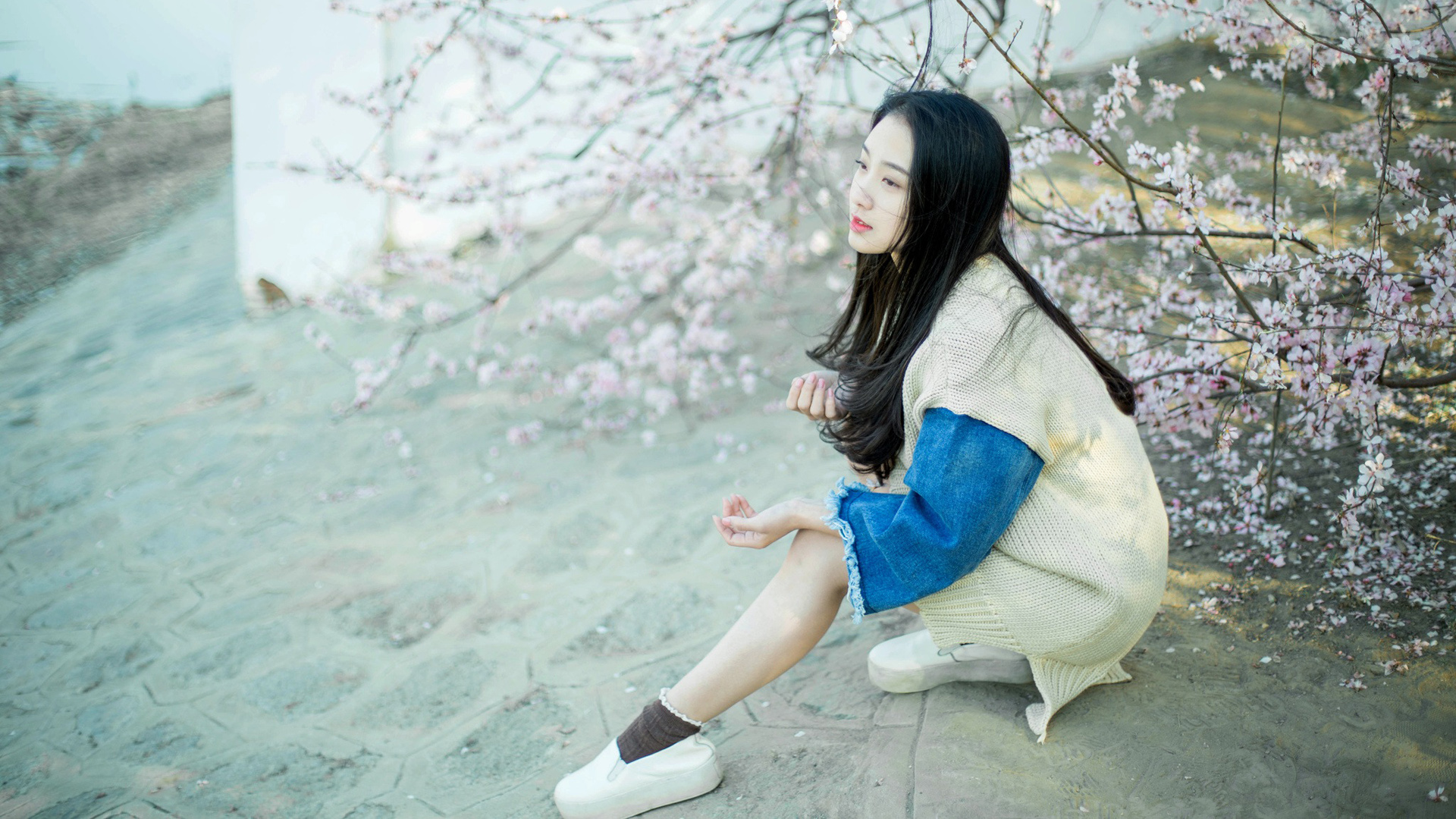 ['清纯美女 花海 桌面壁纸']