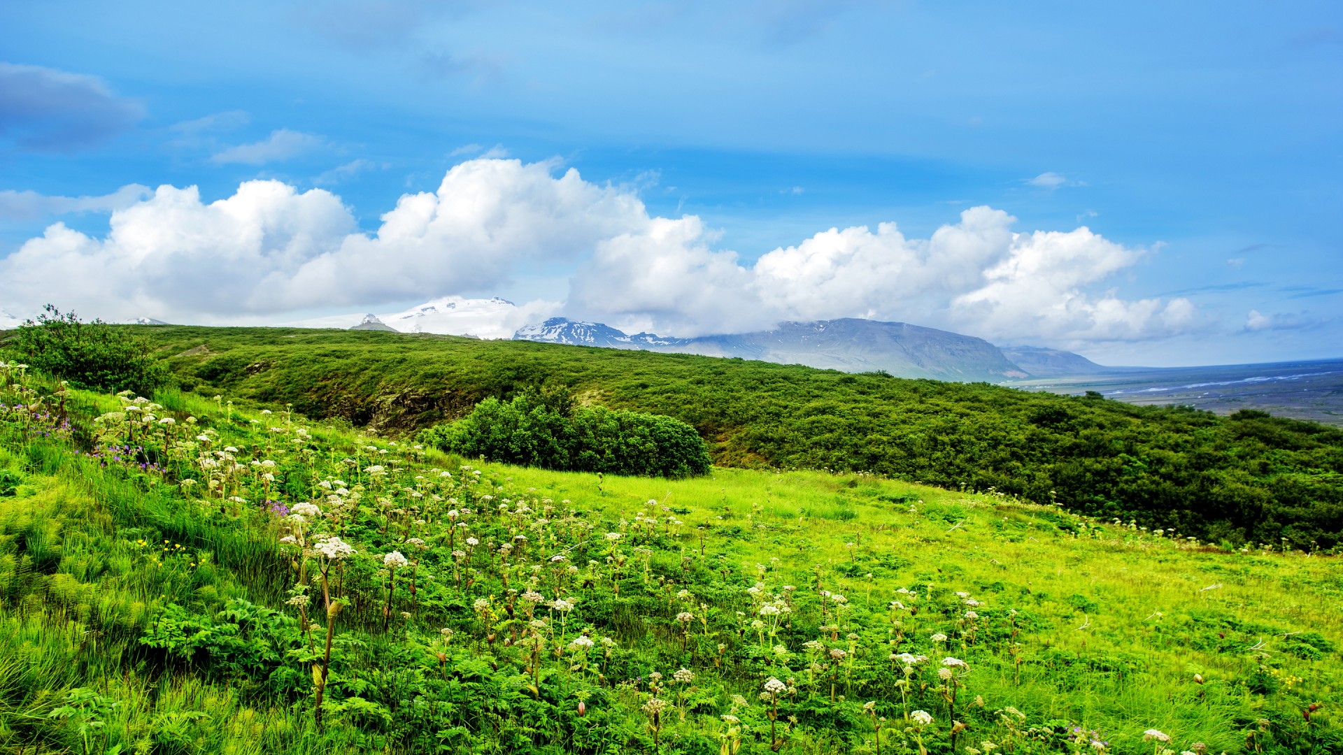 ['蓝天白云绿草地夏日自然风景桌面壁纸']