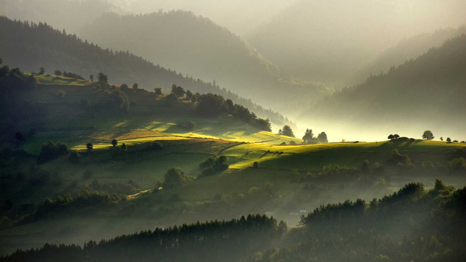 ['早晨阳光山谷自然高清风景壁纸']