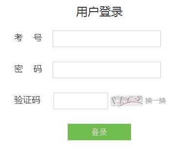 泰安中考成绩查询系统网页截图