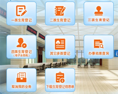 计划生育网上办事大厅网（非官方）网页截图