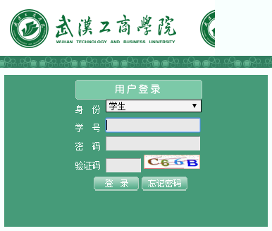 武汉长江工商学院教务网网页截图