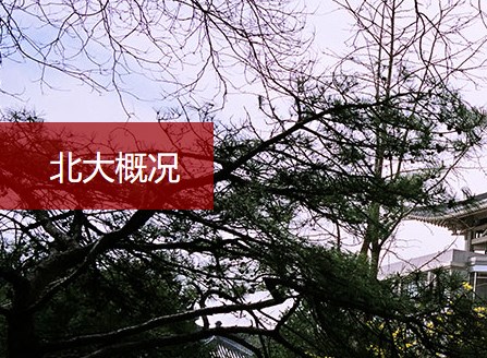 北京大学校歌《燕园情》校歌歌词、校歌下载网页截图