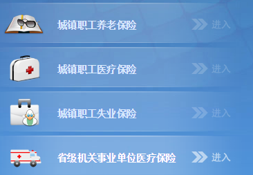 陕西省城镇职工养老保险个人查询网页截图