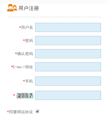中国审计数字在线网报网页截图
