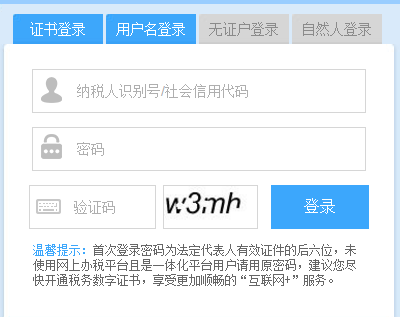 安徽电子税务局--网页截图