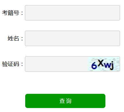 山东普通高中学业水平考试成绩查询网页截图