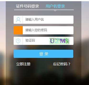 全国税务师职业资格考试网上报名系统网页截图